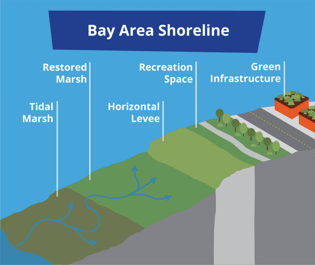 Bay Area Shoreline