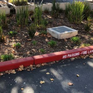 Planter in the parking lot with a storm drain
