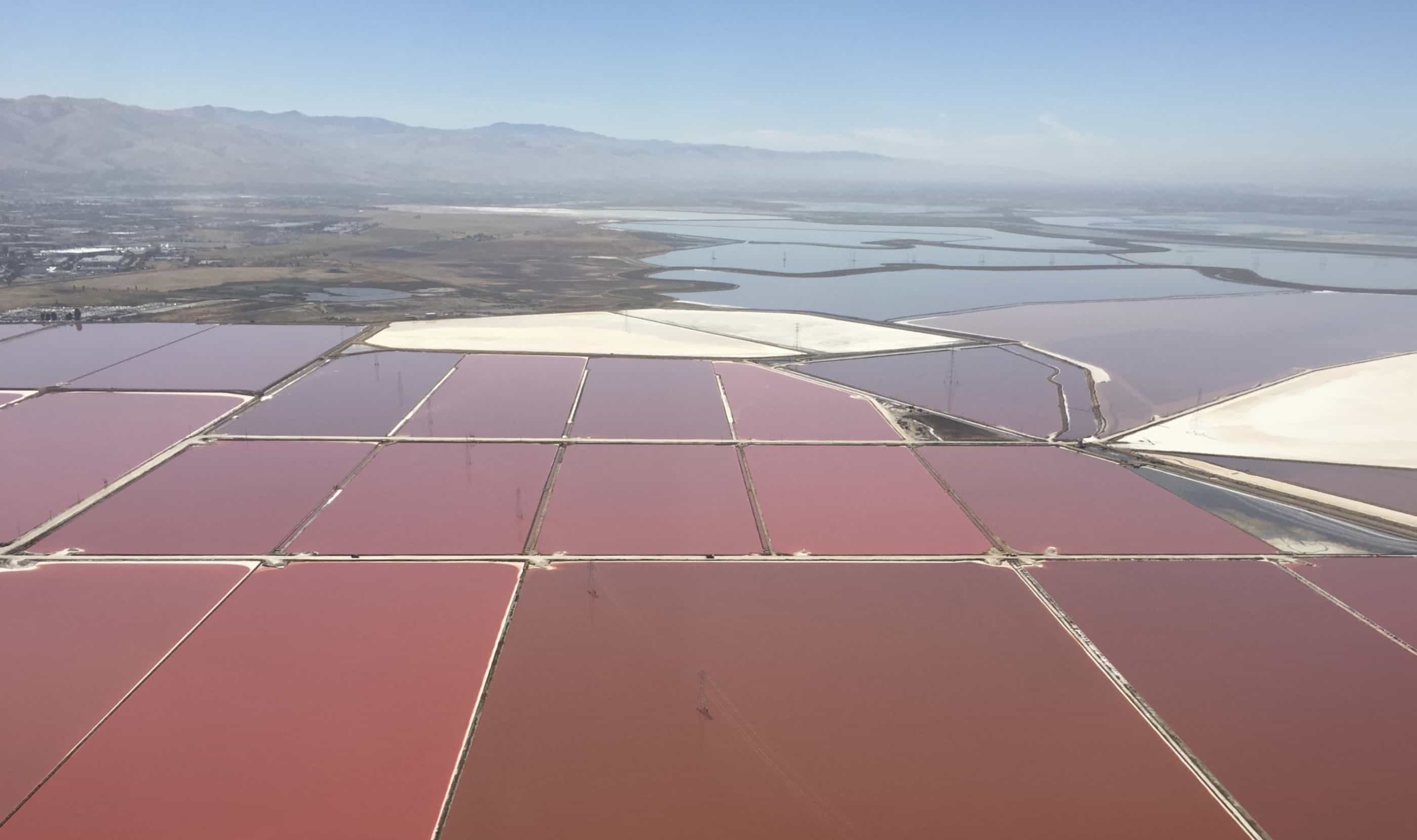 Sections of red-tinted salt pond water from above