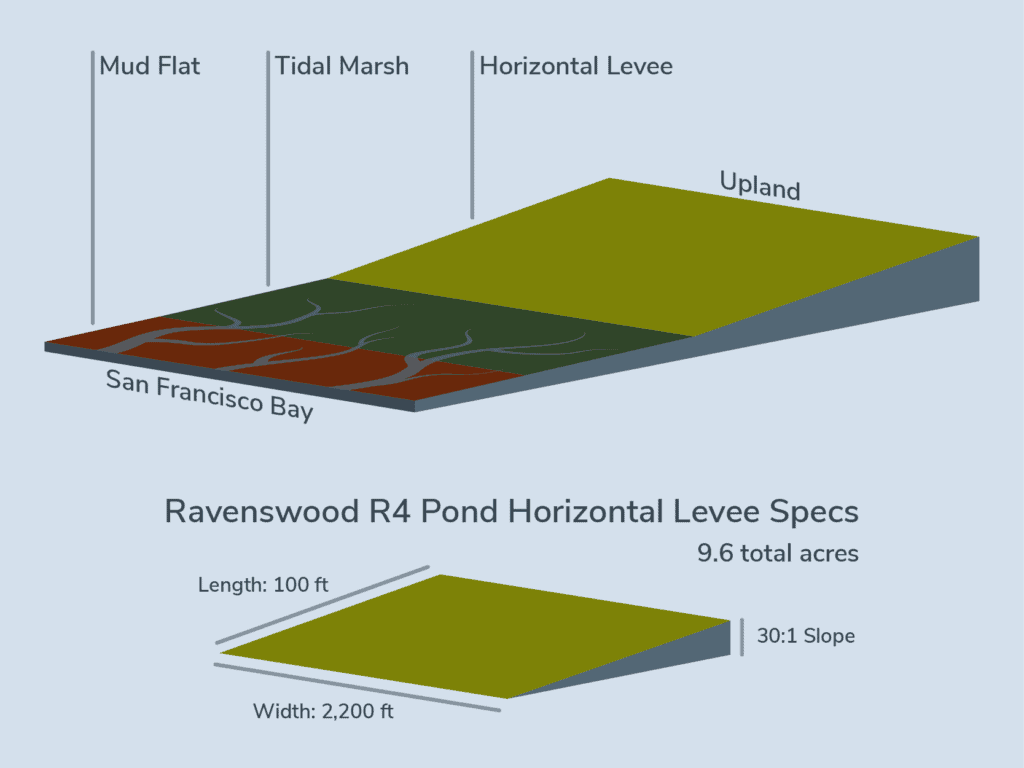 Infographic of a slice of land gently sloping from San Francisco Bay to the Uplands