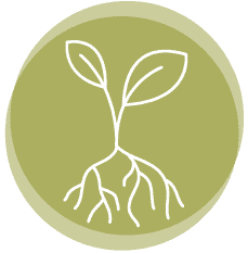 Recreation & Learning