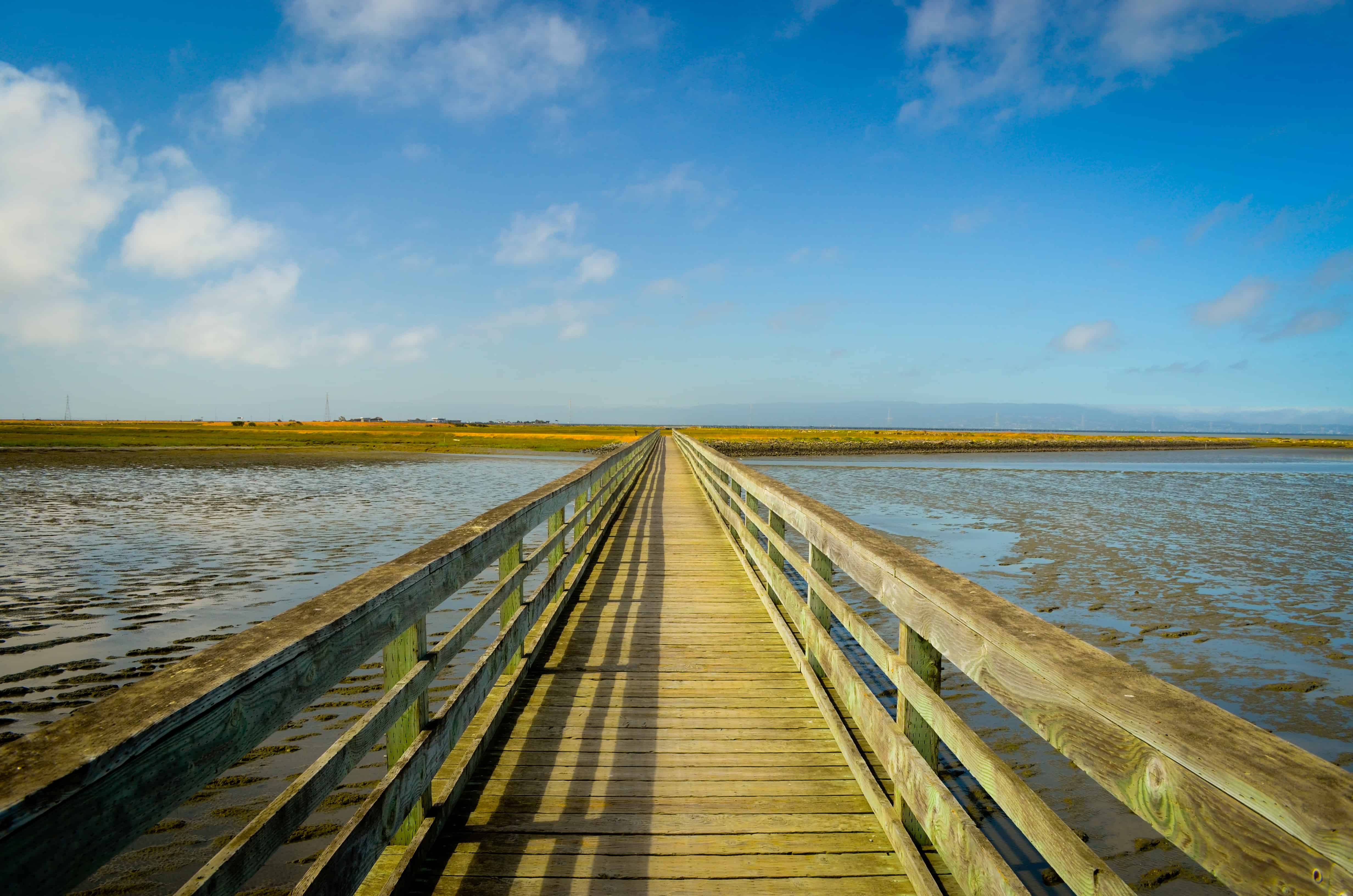 About_Annual Reports