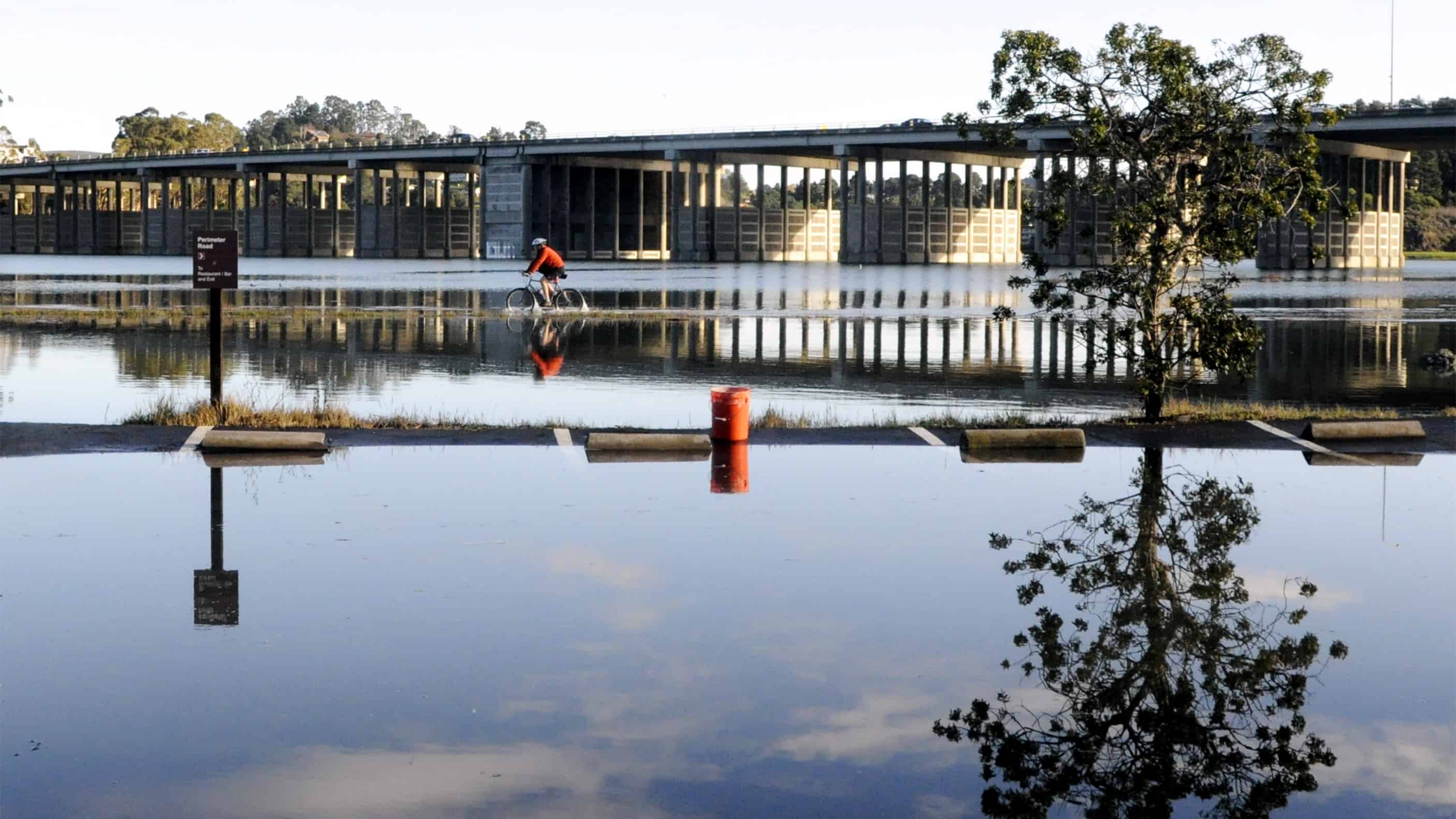 Coomera River Ferry and construction of the road bridge