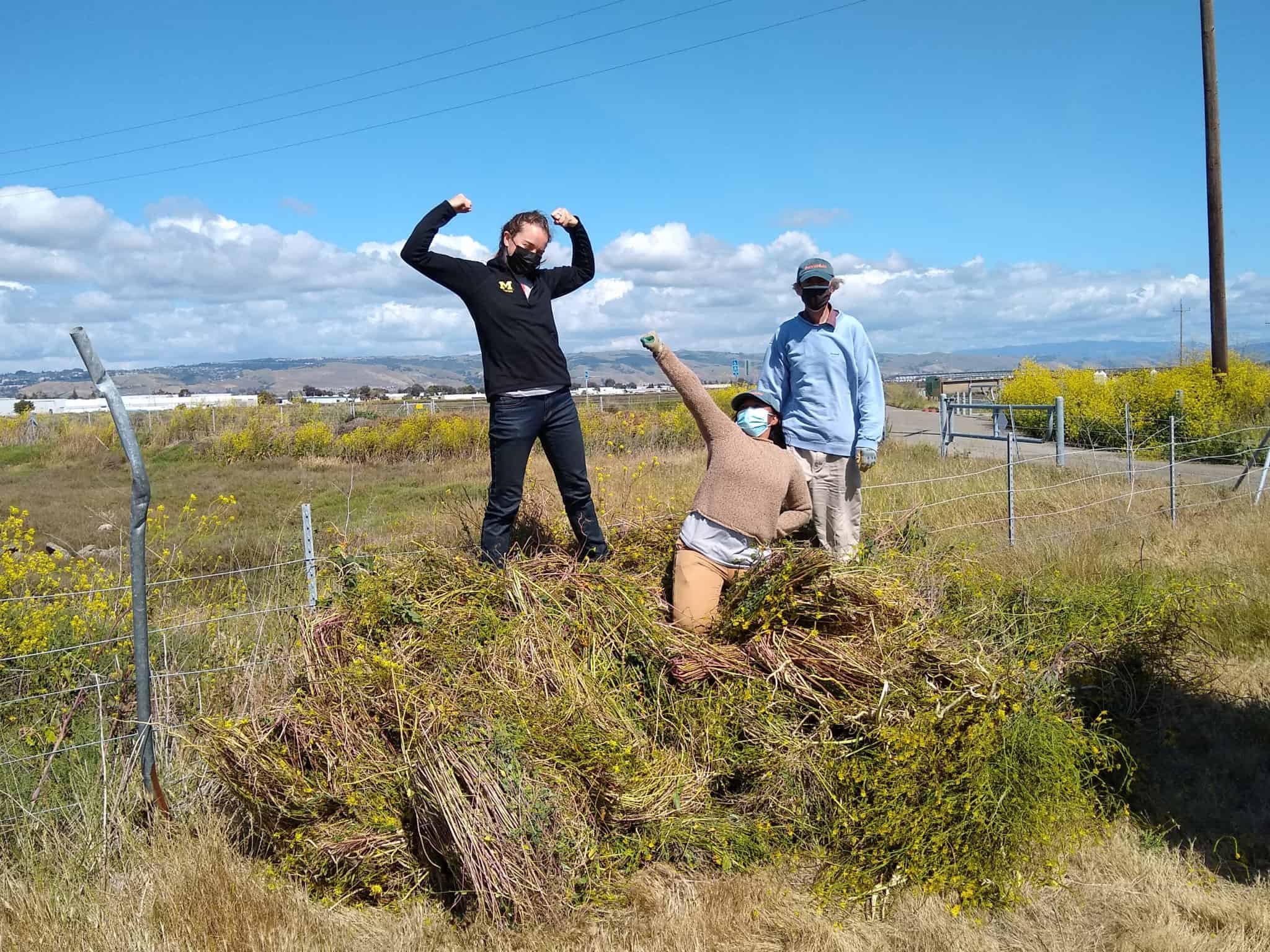 Bay Saver: Super-volunteer Martin - Save The Bay