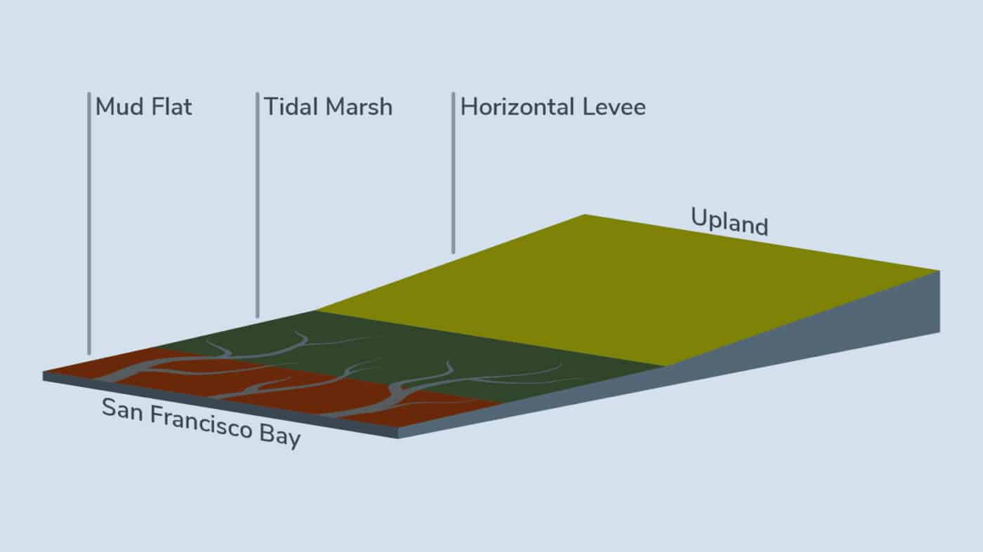 Infographic of a horizontal levee