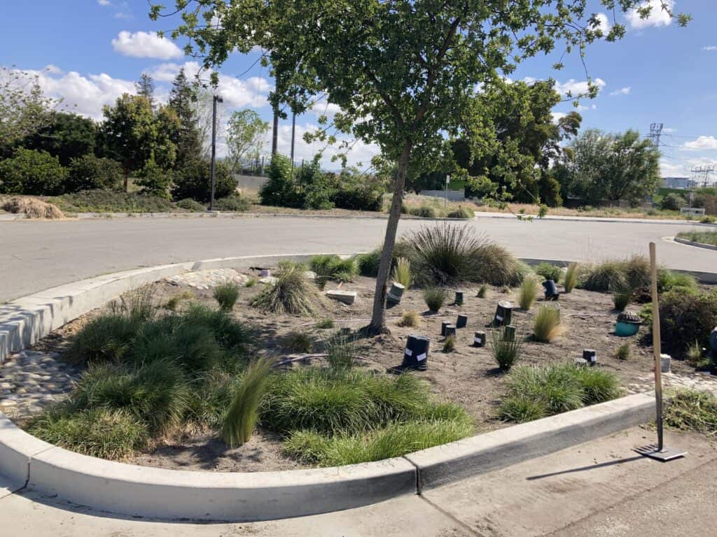 Rain garden in the process of being planted