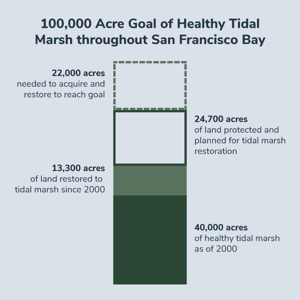 100,000 Acre Goal of Healthy Tidal Marsh throughout San Francisco Bay
