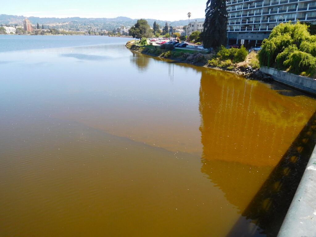 Lake Merritt with red-brown waters from algae bloom