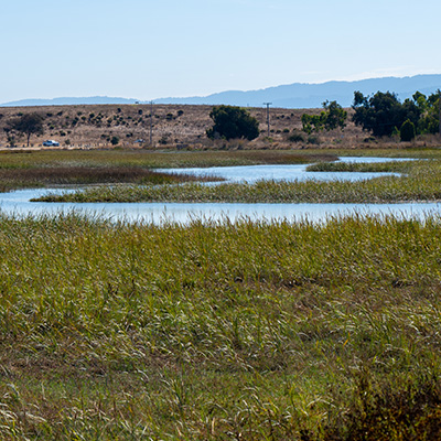 Shoreline Resilience Plan 