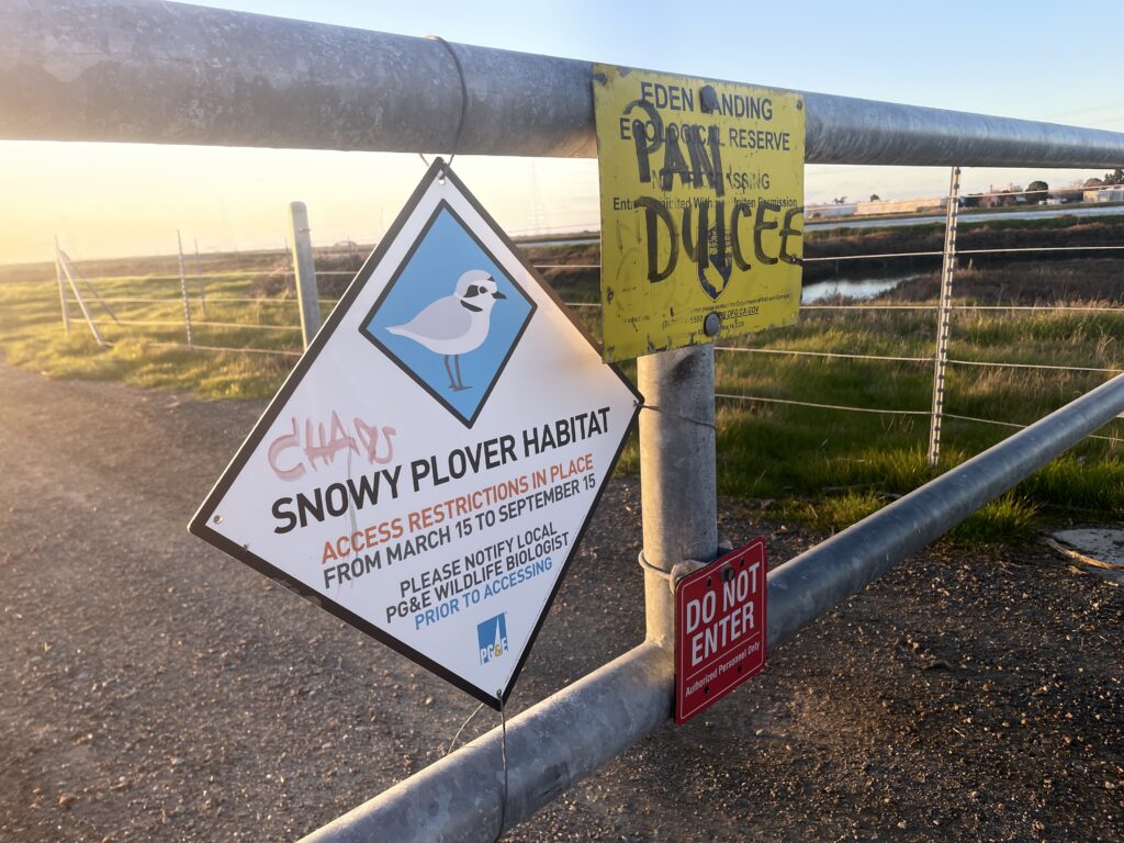 Sign limiting access for Snowy Plovers habitat