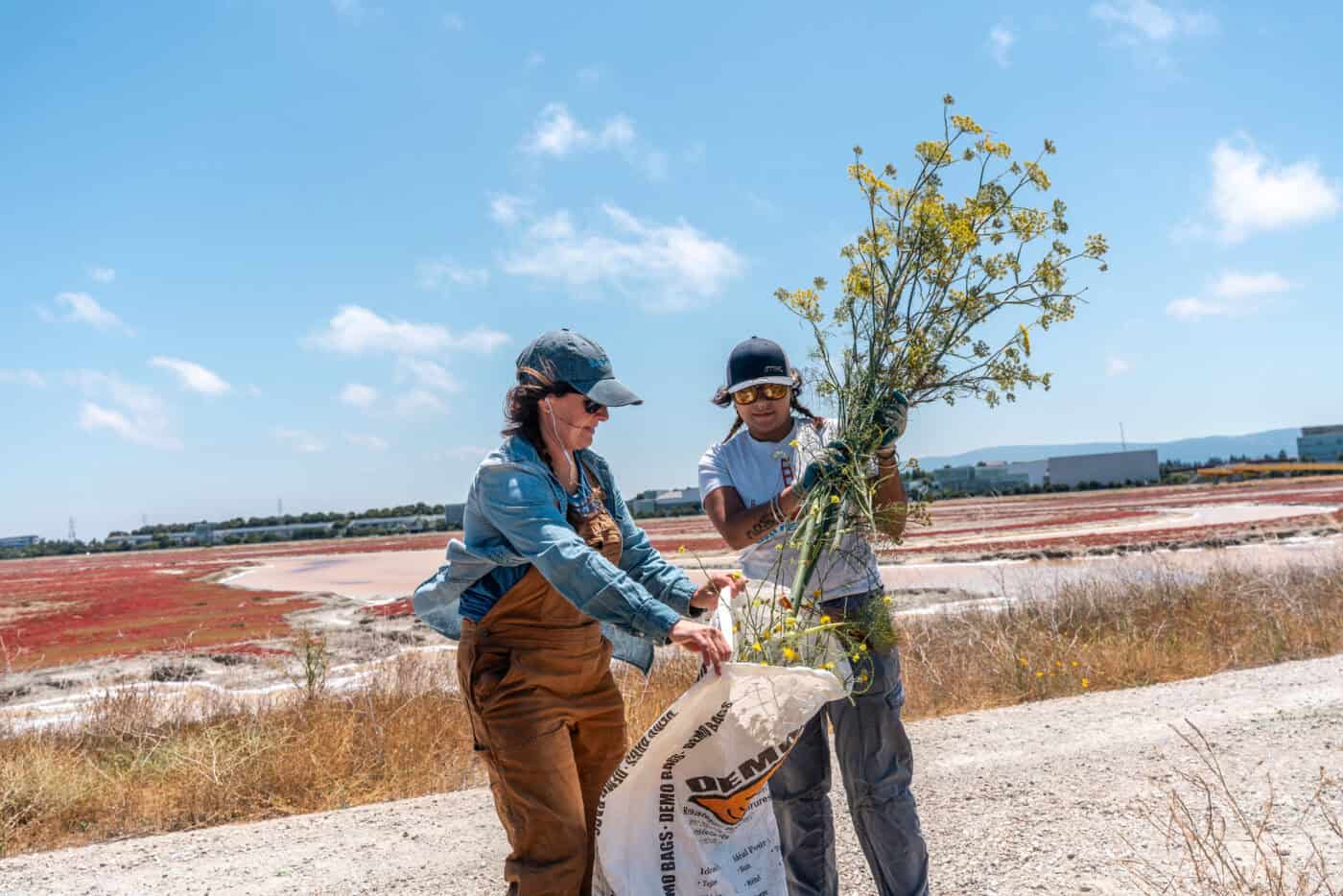 Volunteers at Save The Bay restoration program