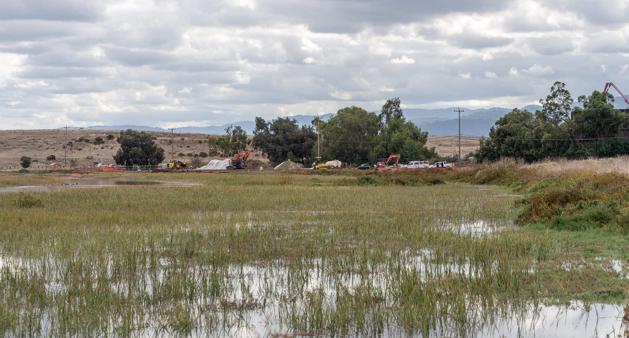 A New Chapter in Bay Restoration: The Palo Alto Horizontal Levee - Save The  Bay