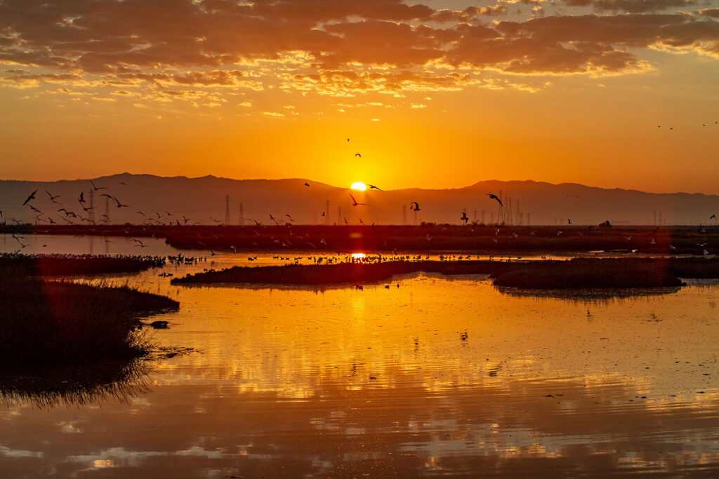 About_Annual Reports