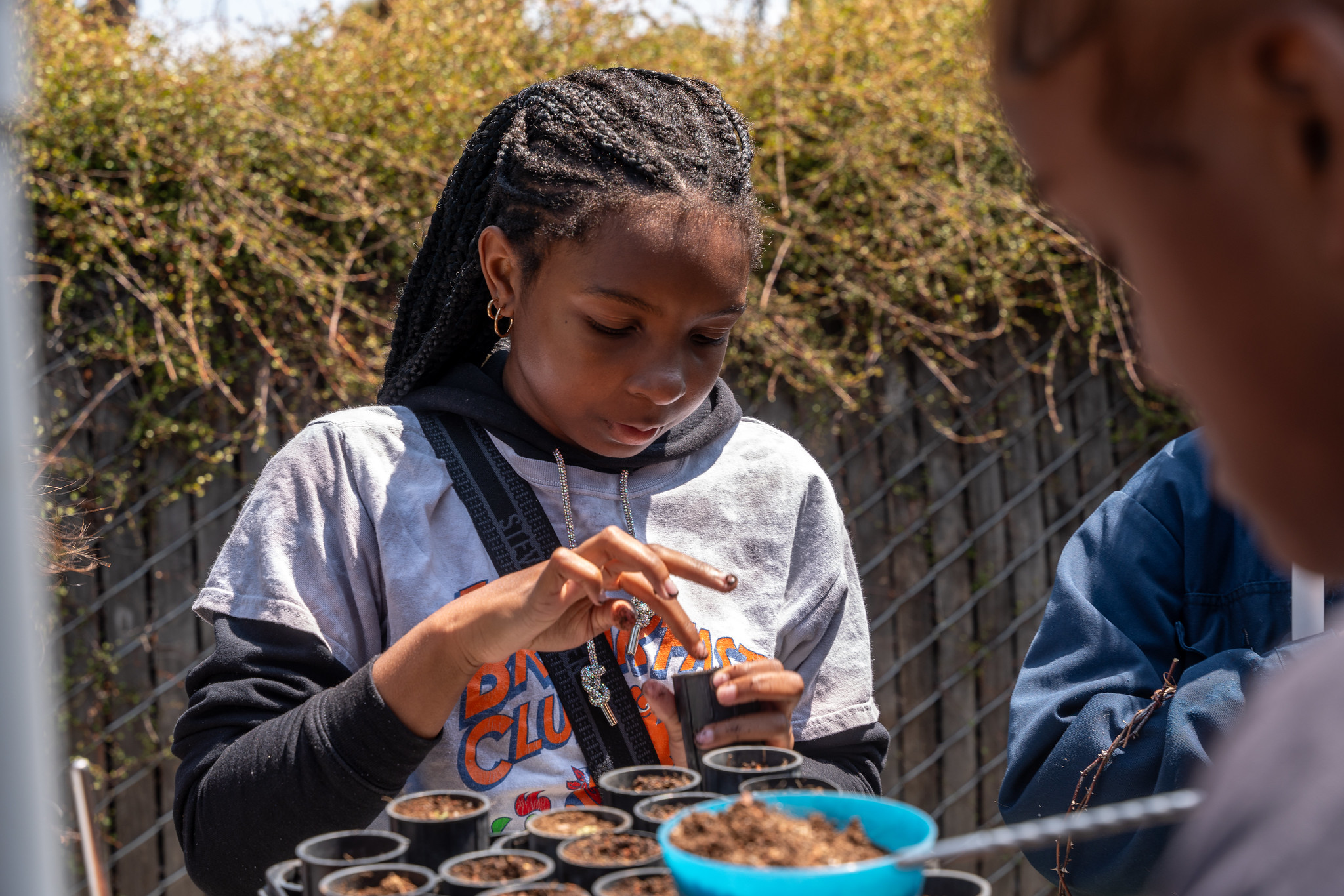 Child planting seedling in pot