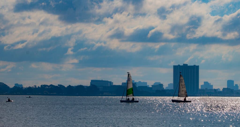 sailboats and kayaks amid sparkling water and blue skies on the Berkeley waterfront