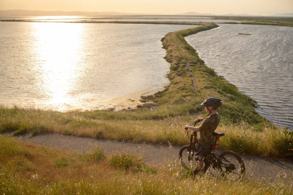 boy with a bicycle stands on a shoreline trail and admires the scenery
